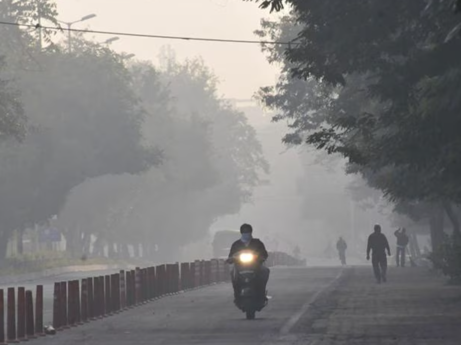 Cold Wave Alert: Ujjain Wakes Up to Dense Fog ujjain wakes up to dense fog